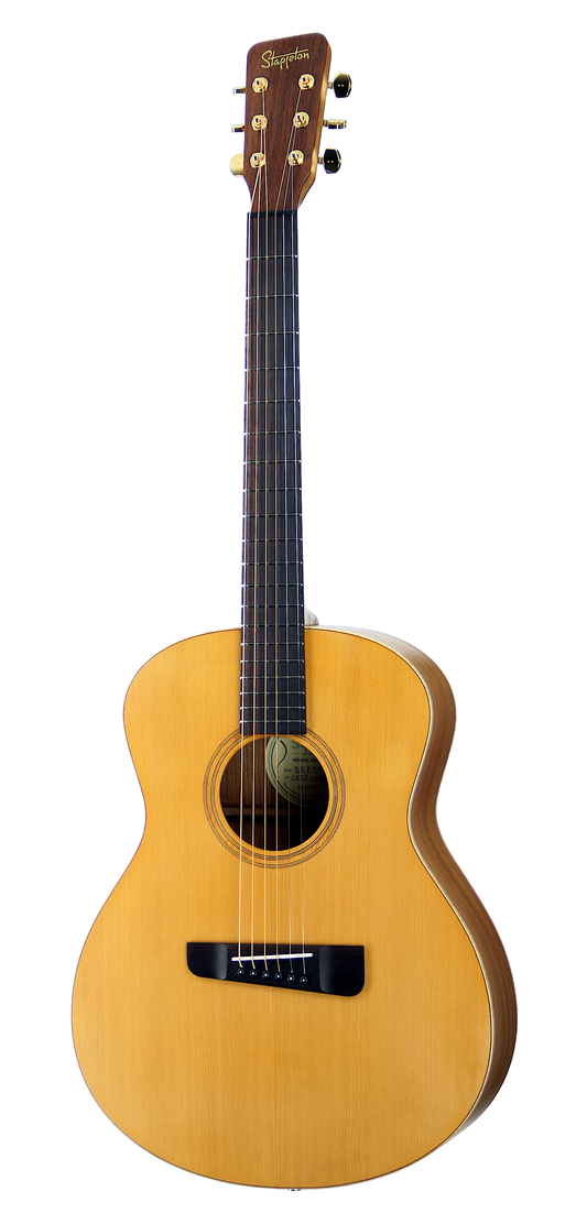 BERTHA™ Orchestra, solid wood acoustic guitar. Red cedar soundboard, rosewood body and neck.