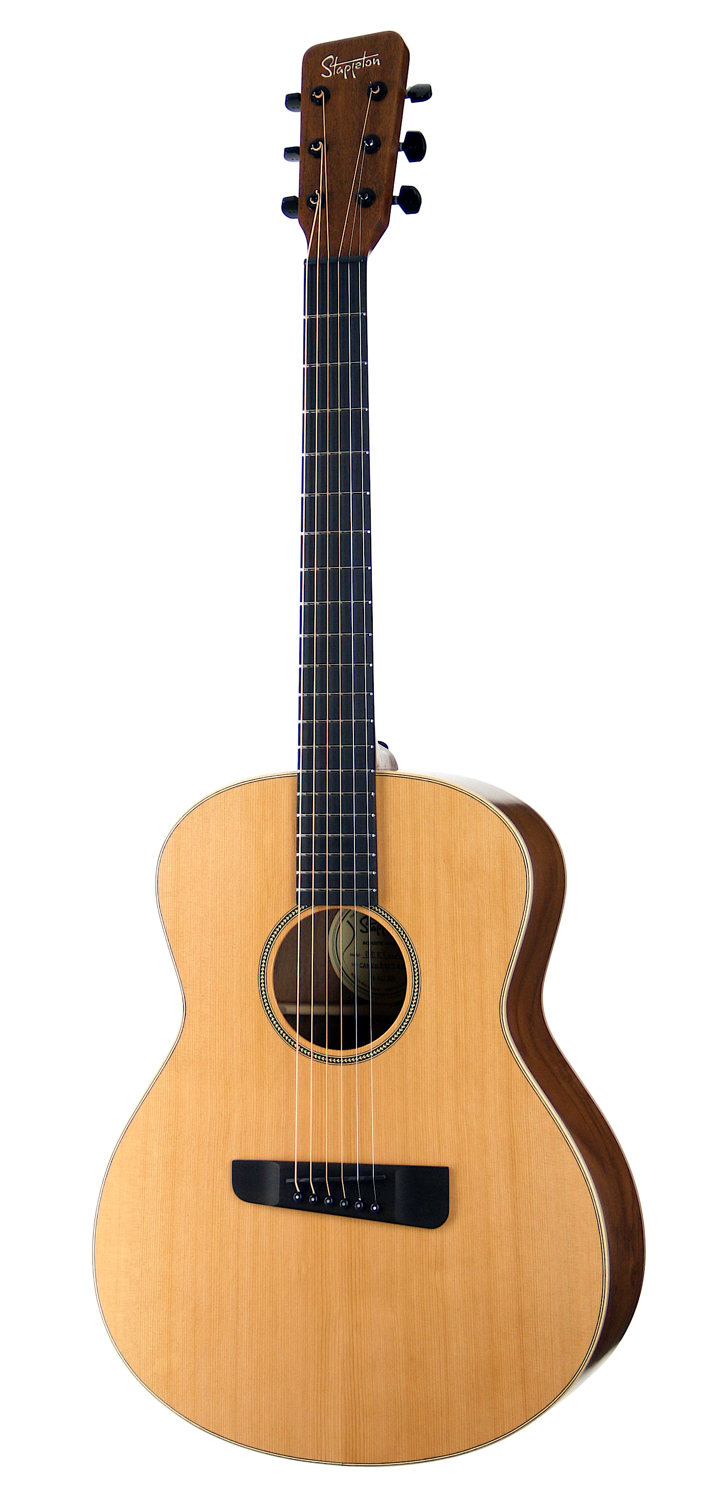BERTHA™ Orchestra Custom Built - Red cedar soundboard, African mahogany body and rosewood neck.