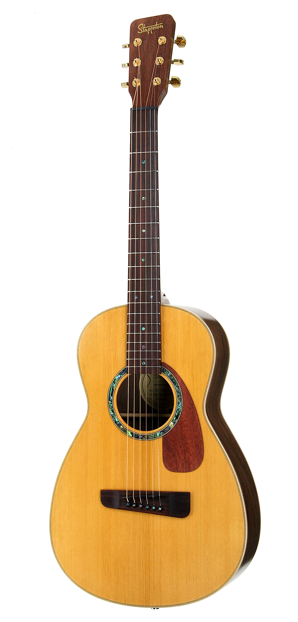 TAISA™ Parlour Custom Built - Red cedar soundboard, black walnut body and neck.