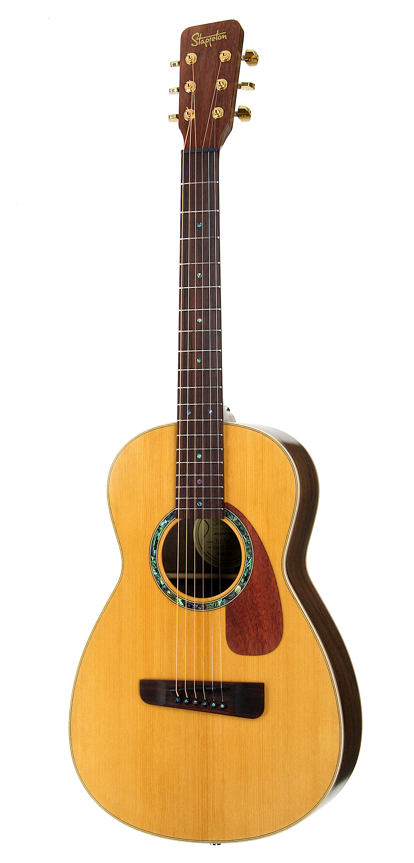 TAISA™ Parlour Custom Built - Red cedar soundboard, black walnut body and neck.