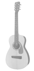 TAISA™ Parlour - Red cedar soundboard, Rosewood neck, African Mahogany back and sides.