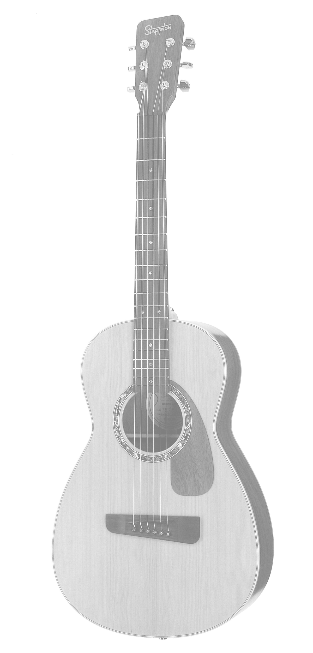 TAISA™ Parlour - Red cedar soundboard, Rosewood neck, African Mahogany back and sides.