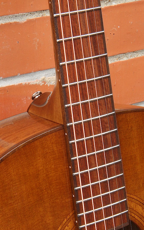 BERTHA™ Orchestra, solid wood acoustic guitar. Red cedar soundboard, rosewood body, maple neck