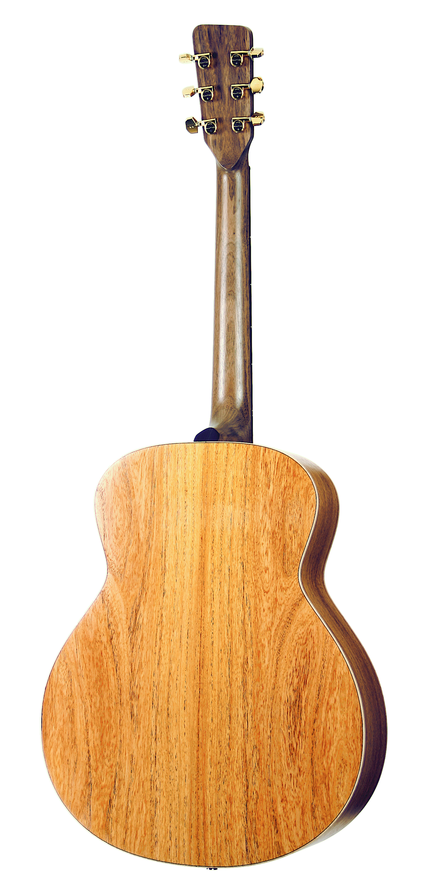 LEONA™ Jumbo, solid wood acoustic guitar. Red cedar soundboard, black walnut neck, rosewood body