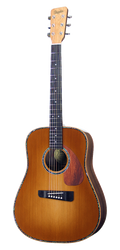 NORA™ Dreadnought, solid wood acoustic guitar. Red cedar soundboard, black walnut neck and body.