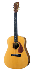 NORA™ Dreadnought, solid wood acoustic guitar. Red cedar soundboard, black walnut neck, rosewood body